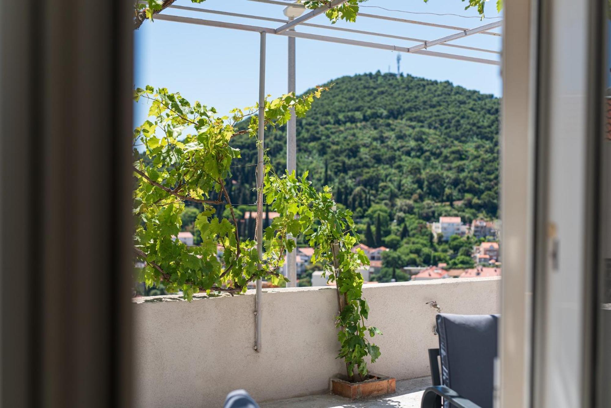 Niko Dubrovnik